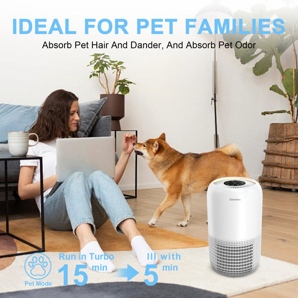 Air Purifier With Pet Deodorization