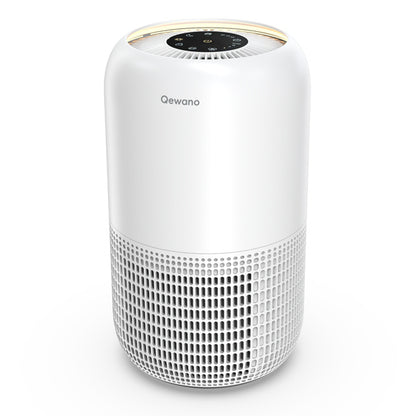 Air Purifier With Pet Deodorization