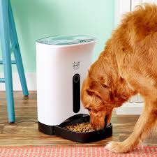 Pet Automatic Feeder Large Capacity Smart Voice Recorder APP Control Timer Feeding